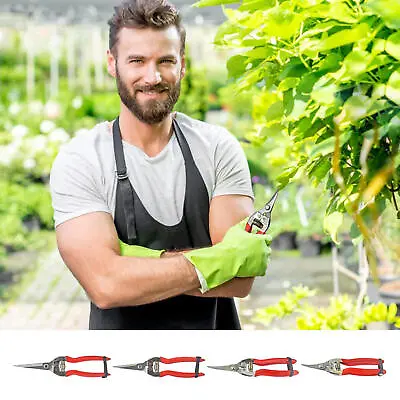 Garden Scissors Multi-Function Shears For Pruning Vegetables Harvesting Pruners • £8.83