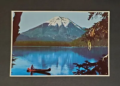 Mt. St. Helens WA Vintage Postcard Print 6x4  Continental Spirit Lake P754 • $11.99