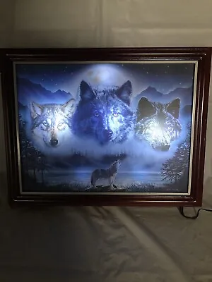 Vivi Crandall Bradford Exchange Eyes Of The Night Lightup Framed Print Decor • $150