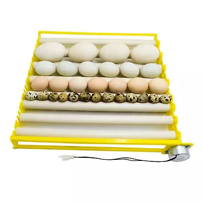 Egg Incubator Tray 360° Rotary Automatic Egg Turner Duck Pigeon Quail 220V • £26.77