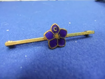 £9 • Buy Badge Political Conservative Party Tory ? C Blue Flower Election Assocn Member