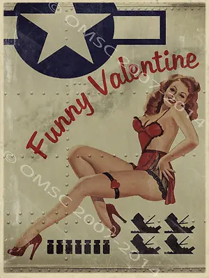 $24.99 • Buy  Funny Valentine Air Force Pinup Girl Metal Sign, Vintage, Den, Bar Decor