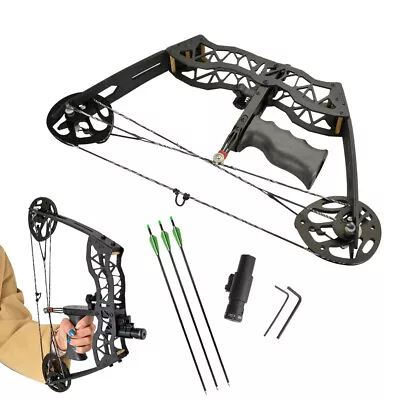 16  Mini Compound Bow Arrow Set 25lbs Fishing Hunting Archery Right Left Hand • £124.58