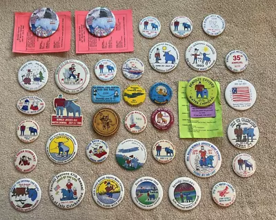 Lot Of (37) Pinback Buttons Pins - BEMIDJI Minnesota - Water Carnival • $50