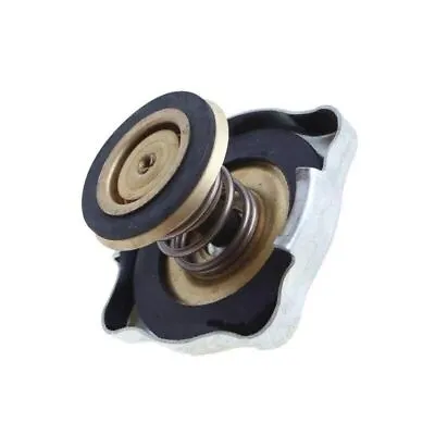 RADIATOR CAP (Tapón De Radiador) VAZ 2101 2102 2103 2104 2105 2106 2121 Niva • $9