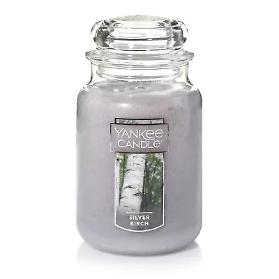 $19.18 • Buy Yankee Candle Silver Birch - Original Large Jar Scented Candle