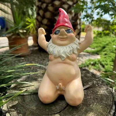 Garden Gnome Kneeling Naked Nude Gnomes Naughty Garden Ornament Kneel Down Red • $31.95