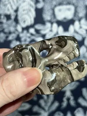 Picasso Stone Crystal Dinosaur Skull T Rex 6cm Lot 56b • £10.44