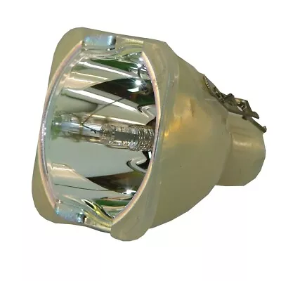 IET Genuine OEM Replacement Bulb For Vidikron Model 10 Projector (Bulb Only) • $159.99