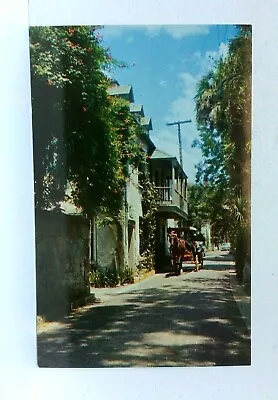 St Augustine Florida FL Aviles Street Horse-Drawn Surrey Postcard • $8.99