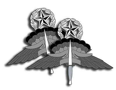 Military Freefall Control Sticker Military Dye Cut Decals  2 Pack Adhesive Vinyl • $2.99