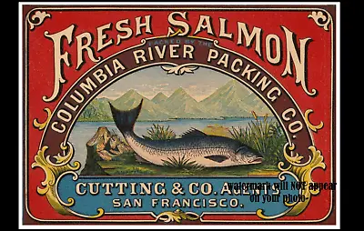1874 Vintage Columbia River Salmon PHOTO Advertising Fishing Decor 5x7 Print Art • $5.88