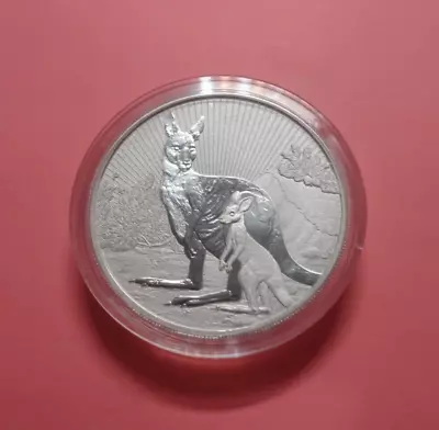 2023 2oz Mother & Baby Kangaroo BU Silver Piedfort Coin In A Perth Mint Capsule • $119