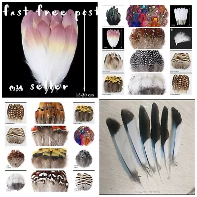 30 Types Feathers Peacock Rooster Goose Guinea Duck Pheasant DIY Craft • $9.95