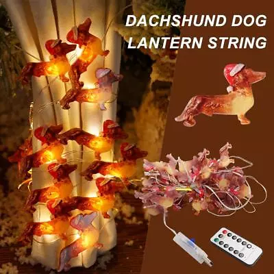 Dachshund Dog Lantern String 30cm Trto B6Z2 F9W7 H3H9 • $10.62