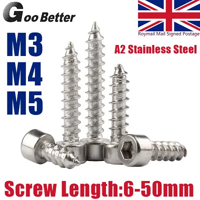 M3 M4 M5 Socket Cap Self Tapping Screws A2 Stainless Steel 304 Allen Key Tappers • £1.80