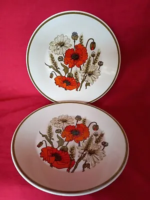 £1 • Buy Pair Of Retro J&g Meakin Floral 'poppy' Design Small Sized Dinner Plates