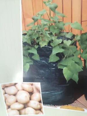 £2.99 • Buy New Potato Grow Bags Tomato Plant Bag Home Garden Vegetable Planter Container UK