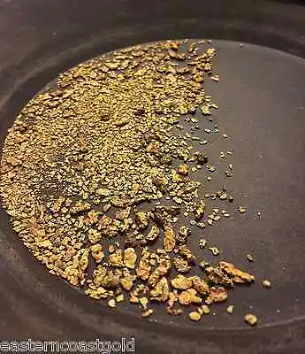 $19.99 • Buy 10 Ounces Of Guaranteed Gold Panning Paydirt | Pay Dirt Concentrates Nugget