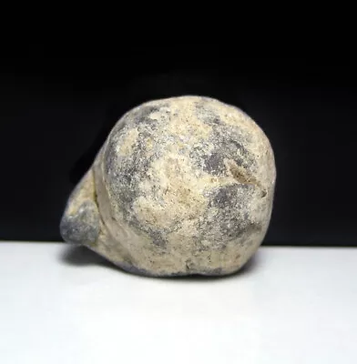 Antietam Civil War Relic Miller's Cornfield Fired Musket Ball Or Case Shot Dug • $29.99