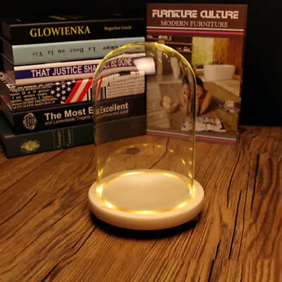 £8.95 • Buy Oblong Glass Display Bell LED Jar Dome Cloche Holder Wood Base Stand+- Lights