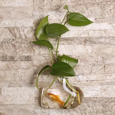 Wall Hanging Plant Flower Vase Terrarium Container Irregular Planter -Clear • £7.20