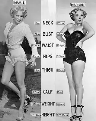 Comparison Of Mamie Van Doren And Marilyn Monroe - For Compari - 1953 Old Photo • $9