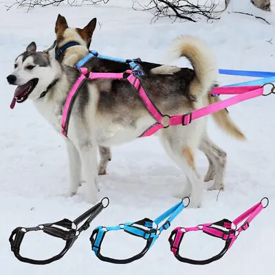 Reflective Weight Pulling Sledding Dog Harness X-Back Style For Pet Training S-L • $28.59