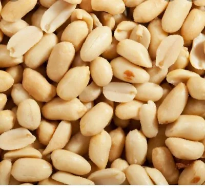   Best  Taste Quality Roasted And Salted Peanuts -  1.5kg So Yummy Try Me • £13.95