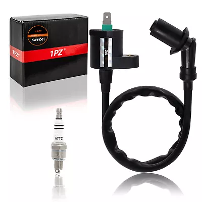 Racing Ignition Coil Spark Plug For Hammerhead Twister 150 150cc Go Kart Go Cart • $10.79