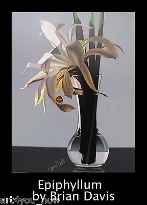 BRIAN DAVIS EPIPHYLLUM - HAND SIGNED BY ARTIST POSTER PRINT 24 X 18 BORDERLESS • $29.99