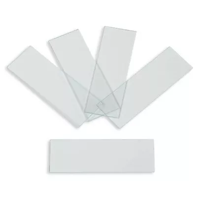 Plain Microscope Slides Ground Edges Karter Scientific 206A1 (Case Of 3600) • $139.99