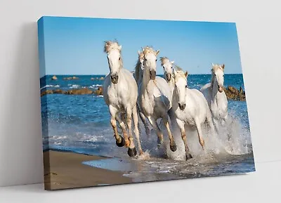 White Horses Running On Beach Seashore Canvas Wall Artwork Picture Print • £14.99