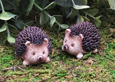 Miniature Fairy Garden Set Of 2 Hedgehogs - Buy 3 Save $5 • $10.40