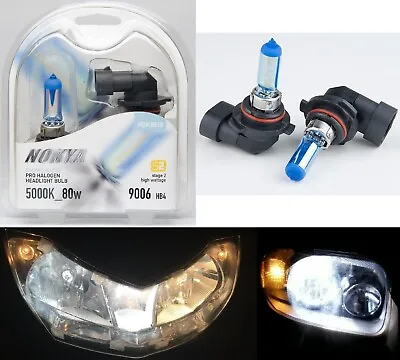 Nokya 5000K White 9006 HB4 Nok8010 80W Two Bulbs Fog Light Replace Plug Play Fit • $24.70