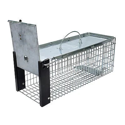$48.95 • Buy Live Cage Trap Chipmunks Rats Small Squirrels Weasels Humane Live Animal Trap 