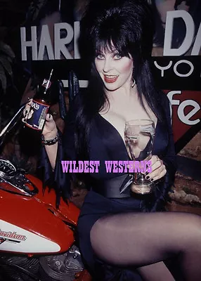 ELVIRA BEER Harley Davidson Motorcycle BUSTY PHOTO Mistress Of The Dark HOT • $34.95