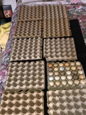 Golf Ball Collection 10 EGG CARTON Stacks NIcely Holds Stores 30 golfballs Each • $15.99