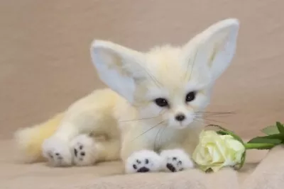 £489.49 • Buy Unique OOAK Fennec Fox Cub~Realistic Artist Puppy Collector Toy Stuffed Animal