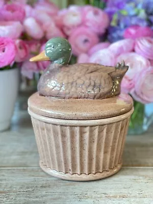 Hobbiest Cookie Jar - Duck - Storage Of Stuff • $16