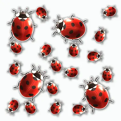 Ladybug Ladybird Stickers Theme Set Vinyl  Sticker Set For Kids Bathroom Car • £2.99