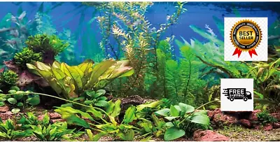 48X24 Inches Aquarium Background Aquatic Plant River Bed & Lake Fish Tank Backgr • $13.30