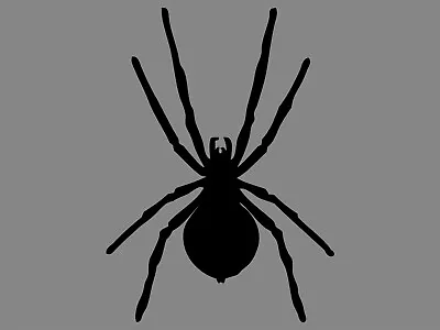 SPIDER Black Widow Silhouette Vinyl Decal Halloween Prank Waterproof Sticker  • $1.99