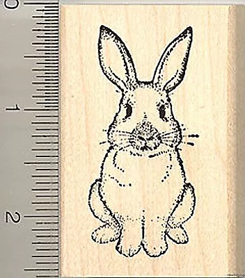 Rabbit Rubber Stamp Easter Bunny Or House Pet H4804 WM • $17