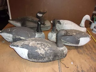 Lot Of 5 Vintage Goose Decoys... Make Great Display Or Can Be Used...See Picture • $200