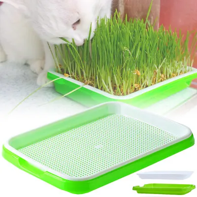 £9.41 • Buy Plant Trays Seed Sprouter Tray Basket Grow Germination Seddling Starter