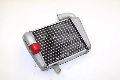 Yamaha Oem Engine Radiator 8GS-12461-00-00 YQ1239.5 • $106.24