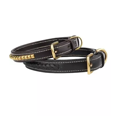 Zack & Zoey Genuine Leather Pharaoh Dog Collars 4 Sizes 2 Styles • $13.99