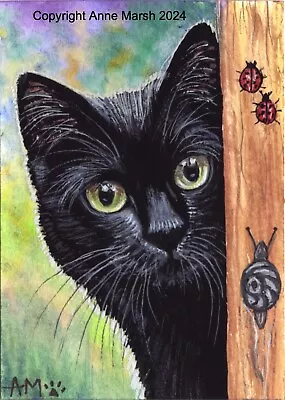 ACEO Original Black Cat Snail Ladybird Painting Great Garden Race Anne Marsh Art • £29.99