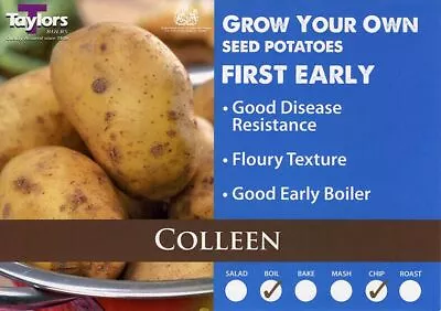 £4.50 • Buy Colleen Seed Potato - First Early - Available In Bags Of 5,10,15